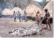 石蒸し料理をするダニ族の人々